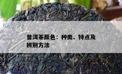 普洱茶颜色：种类、特点及辨别方法