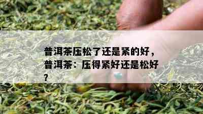 普洱茶压松了还是紧的好，普洱茶：压得紧好还是松好？