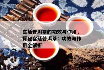 宫廷普洱茶的功效与作用，探秘宫廷普洱茶：功效与作用全解析