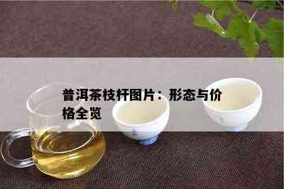 普洱茶枝杆图片：形态与价格全览