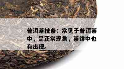 普洱茶枝条：常见于普洱茶中，是正常现象，茶饼中也有出现。