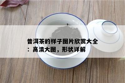 普洱茶的样子图片欣赏大全：高清大图，形状详解