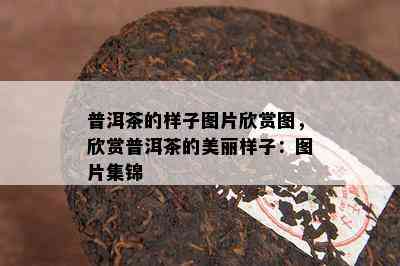 普洱茶的样子图片欣赏图，欣赏普洱茶的美丽样子：图片集锦