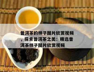 普洱茶的样子图片欣赏视频，探索普洱茶之美：精选普洱茶样子图片欣赏视频