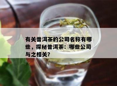 有关普洱茶的公司名称有哪些，探秘普洱茶：哪些公司与之相关？