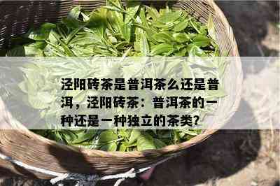 泾阳砖茶是普洱茶么还是普洱，泾阳砖茶：普洱茶的一种还是一种独立的茶类？