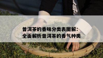 普洱茶的香味分类表图解：全面解析普洱茶的香气种类