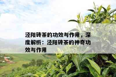 泾阳砖茶的功效与作用，深度解析：泾阳砖茶的神奇功效与作用