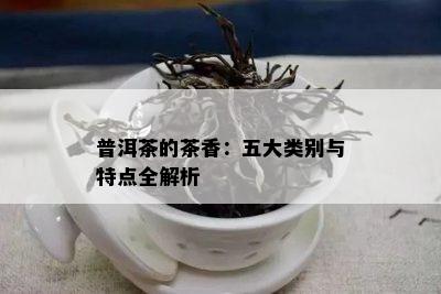 普洱茶的茶香：五大类别与特点全解析