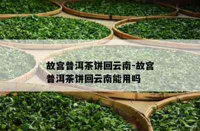 故宫普洱茶饼回云南-故宫普洱茶饼回云南能用吗