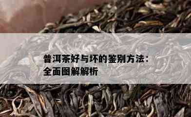 普洱茶好与坏的鉴别方法：全面图解解析