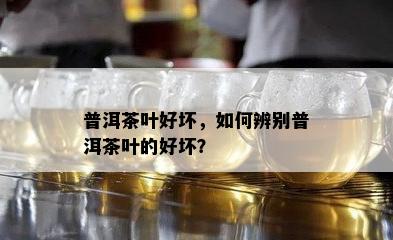 普洱茶叶好坏，如何辨别普洱茶叶的好坏？