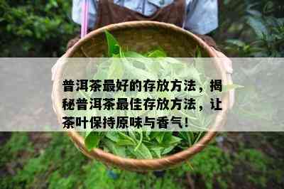 普洱茶更好的存放方法，揭秘普洱茶更佳存放方法，让茶叶保持原味与香气！