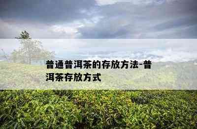 普通普洱茶的存放方法-普洱茶存放方式