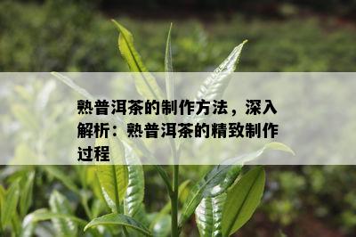 熟普洱茶的制作方法，深入解析：熟普洱茶的精致制作过程