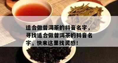 适合做普洱茶的抖音名字，寻找适合做普洱茶的抖音名字，快来这里找灵感！