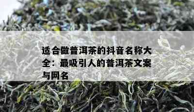 适合做普洱茶的抖音名称大全：最吸引人的普洱茶文案与网名