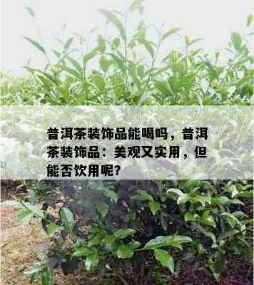 普洱茶装饰品能喝吗，普洱茶装饰品：美观又实用，但能否饮用呢？