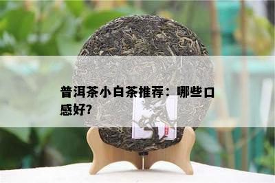 普洱茶小白茶推荐：哪些口感好？