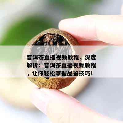 普洱茶直播视频教程，深度解析：普洱茶直播视频教程，让你轻松掌握品鉴技巧！