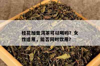 桂花加普洱茶可以喝吗？女性适用，能否同时饮用？