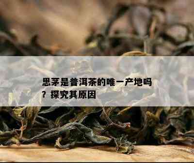 思茅是普洱茶的唯一产地吗？探究其原因