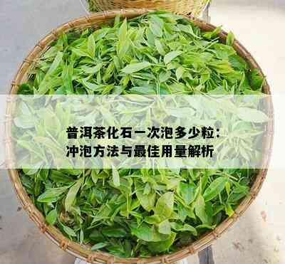 普洱茶化石一次泡多少粒：冲泡方法与更佳用量解析