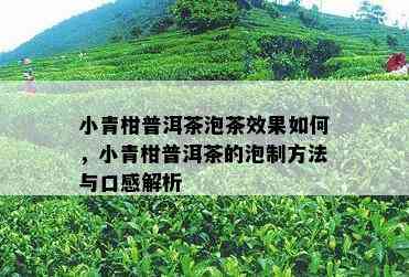 小青柑普洱茶泡茶效果如何，小青柑普洱茶的泡制方法与口感解析