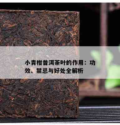 小青柑普洱茶叶的作用：功效、禁忌与好处全解析