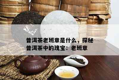 普洱茶老班章是什么，探秘普洱茶中的瑰宝：老班章