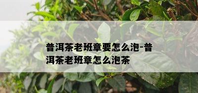 普洱茶老班章要怎么泡-普洱茶老班章怎么泡茶