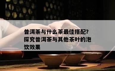 普洱茶与什么茶更佳搭配？探究普洱茶与其他茶叶的泡饮效果