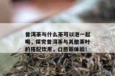 普洱茶与什么茶可以泡一起喝，探究普洱茶与其他茶叶的搭配饮用，口感新体验！