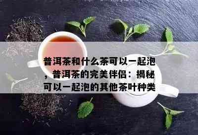 普洱茶和什么茶可以一起泡，普洱茶的完美伴侣：揭秘可以一起泡的其他茶叶种类