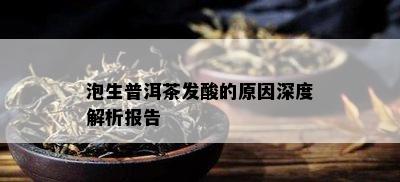 泡生普洱茶发酸的原因深度解析报告