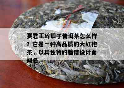 赛君王碎银子普洱茶怎么样？它是一种高品质的大红袍茶，以其独特的脸谱设计而闻名。