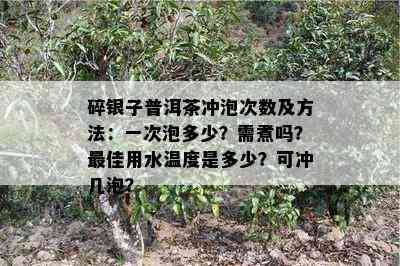 碎银子普洱茶冲泡次数及方法：一次泡多少？需煮吗？更佳用水温度是多少？可冲几泡？