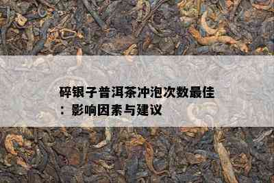 碎银子普洱茶冲泡次数更佳：影响因素与建议