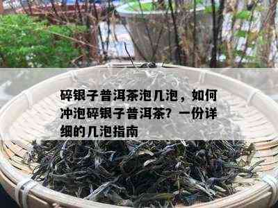 碎银子普洱茶泡几泡，如何冲泡碎银子普洱茶？一份详细的几泡指南