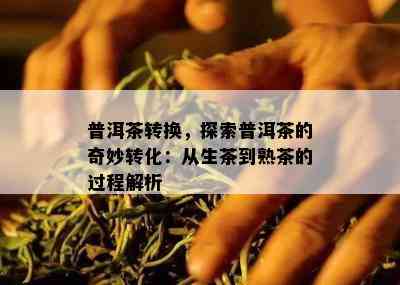 普洱茶转换，探索普洱茶的奇妙转化：从生茶到熟茶的过程解析