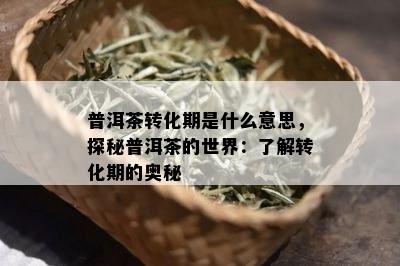 普洱茶转化期是什么意思，探秘普洱茶的世界：了解转化期的奥秘