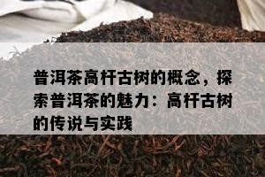 普洱茶高杆古树的概念，探索普洱茶的魅力：高杆古树的传说与实践