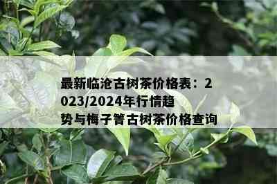 最新临沧古树茶价格表：2023/2024年行情趋势与梅子箐古树茶价格查询