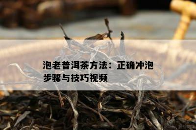 泡老普洱茶方法：正确冲泡步骤与技巧视频