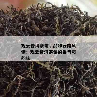 观云普洱茶饼，品味云南风情：观云普洱茶饼的香气与韵味