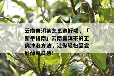 云南普洱茶怎么泡好喝，「新手指南」云南普洱茶的正确冲泡方法，让你轻松品尝到醇厚口感！