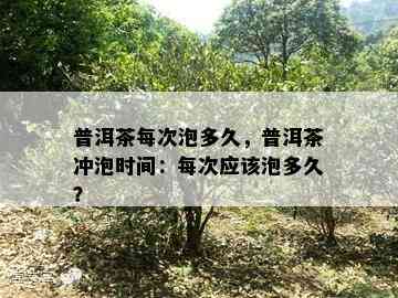 普洱茶每次泡多久，普洱茶冲泡时间：每次应该泡多久？