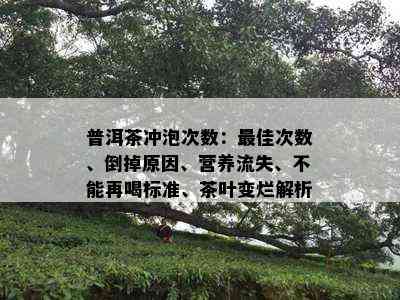 普洱茶冲泡次数：更佳次数、倒掉原因、营养流失、不能再喝标准、茶叶变烂解析