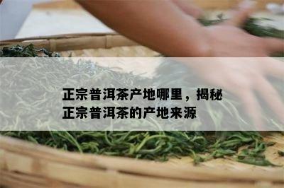 正宗普洱茶产地哪里，揭秘正宗普洱茶的产地来源