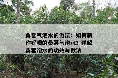 桑葚气泡水的做法：如何制作好喝的桑葚气泡水？详解桑葚泡水的功效与做法